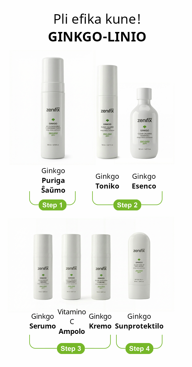 Ginkgo Routine