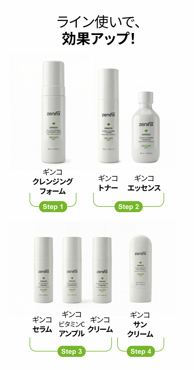 Ginkgo Routine