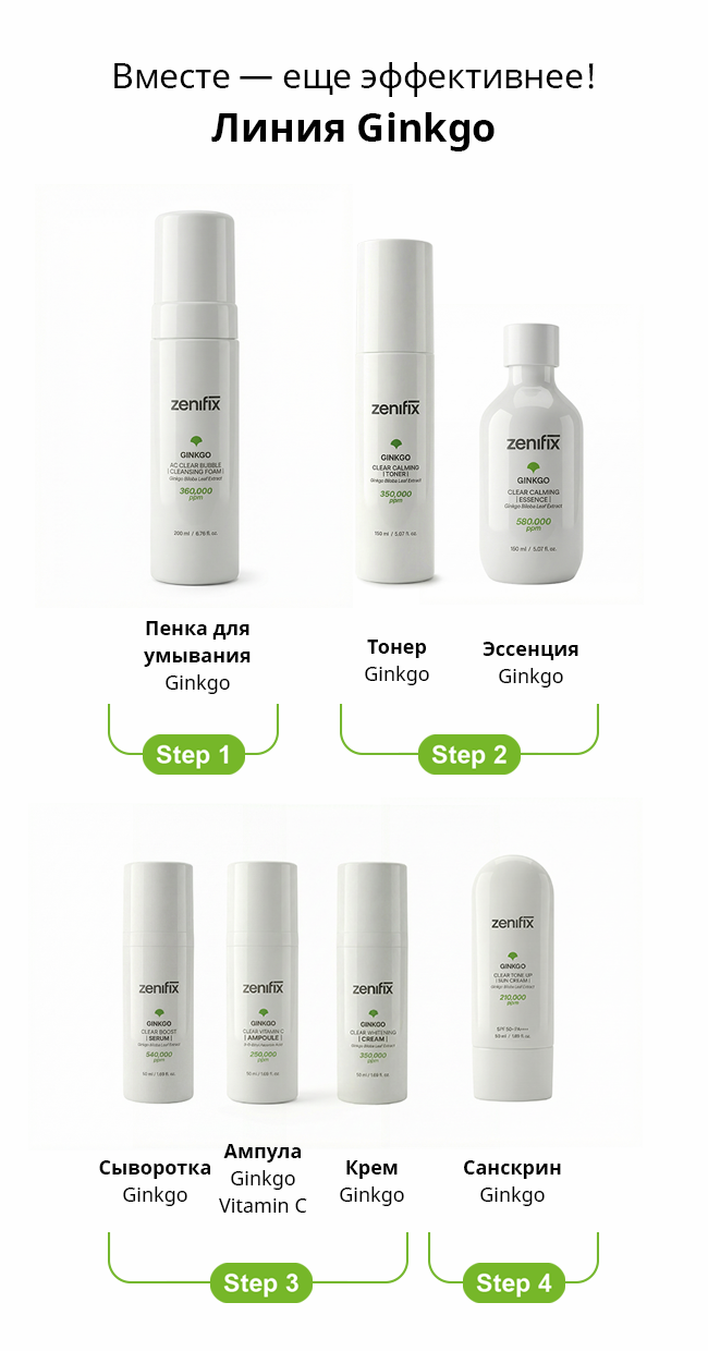 Ginkgo Routine
