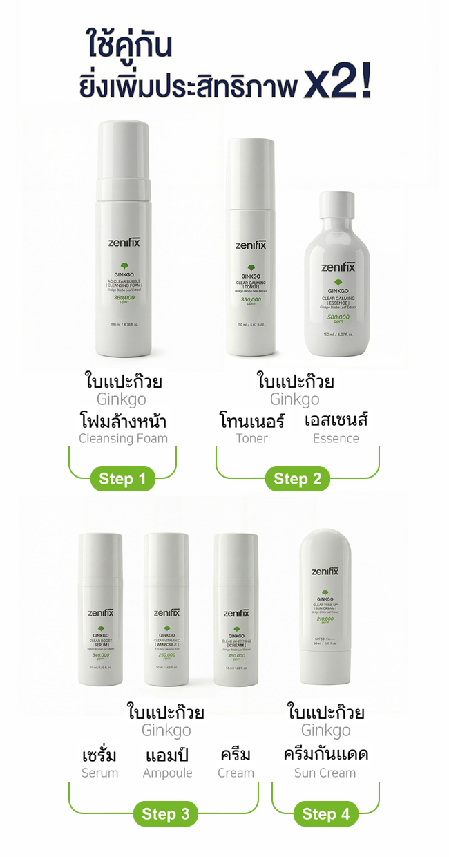 Ginkgo Routine
